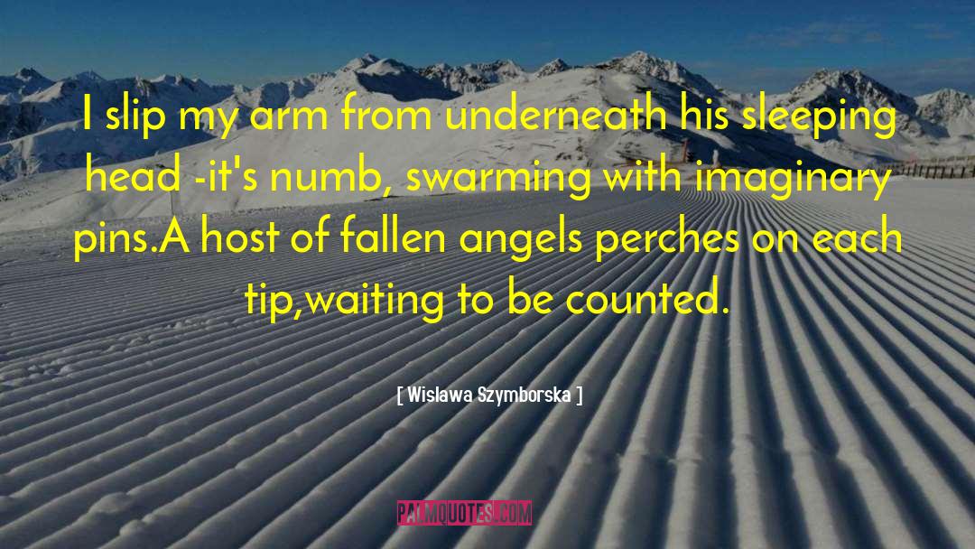 Fallen Angels quotes by Wislawa Szymborska