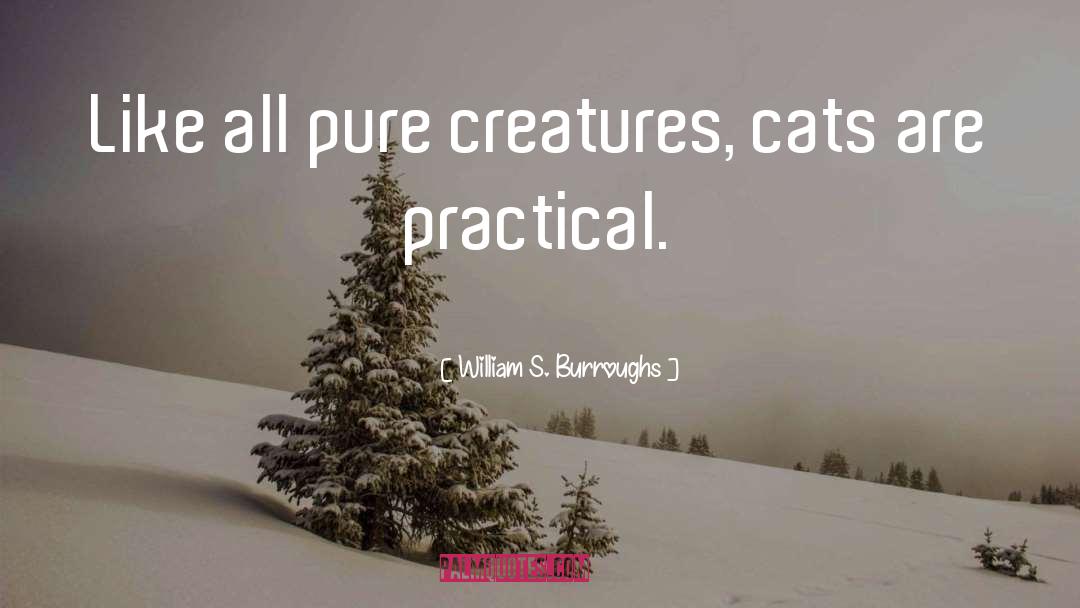Fallen Creatures quotes by William S. Burroughs