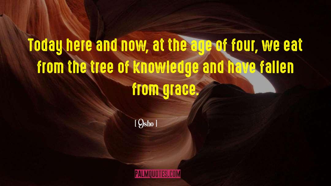 Fallen From Grace quotes by Osho
