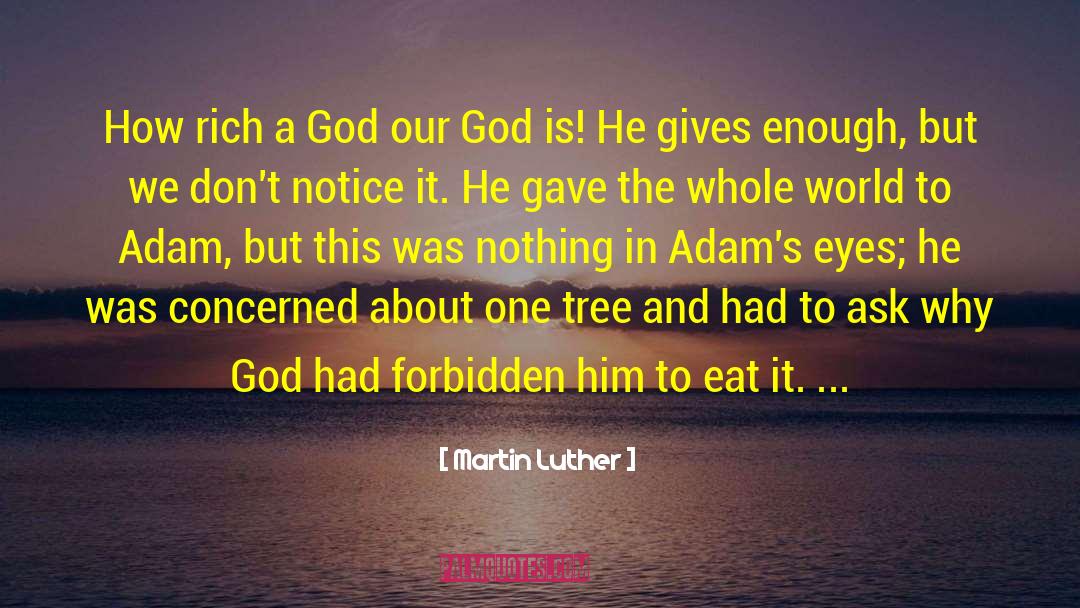 Fallen God quotes by Martin Luther