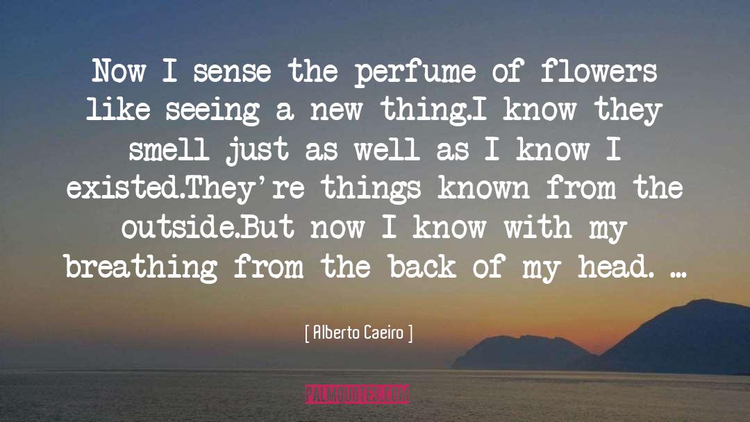 Fallen In Love quotes by Alberto Caeiro