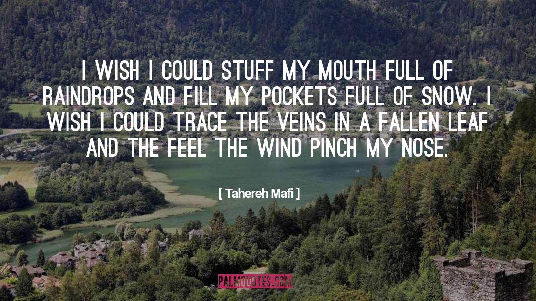 Fallen Leaf quotes by Tahereh Mafi