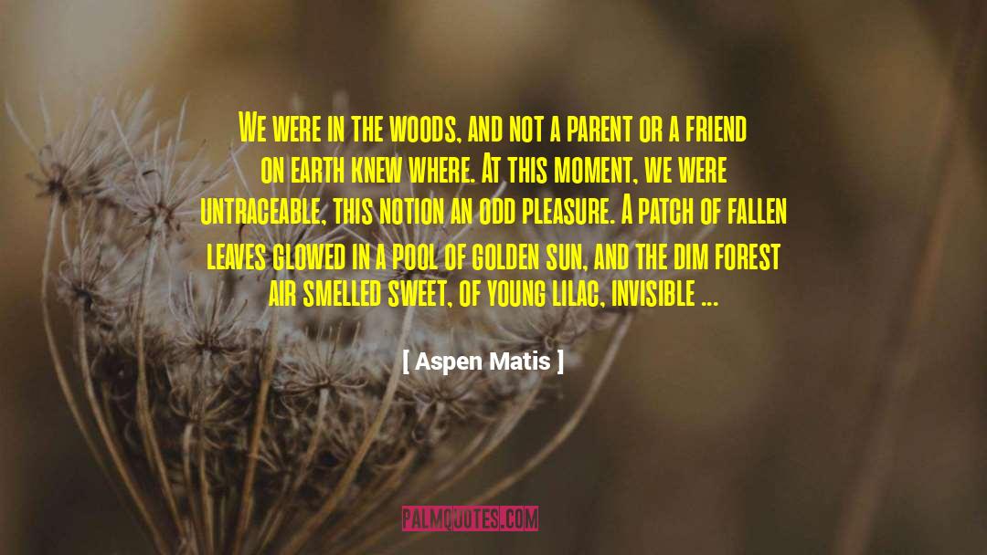 Fallen Leaves quotes by Aspen Matis