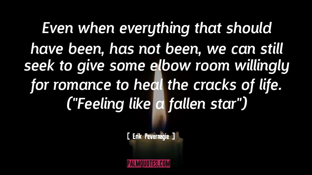 Fallen Star quotes by Erik Pevernagie