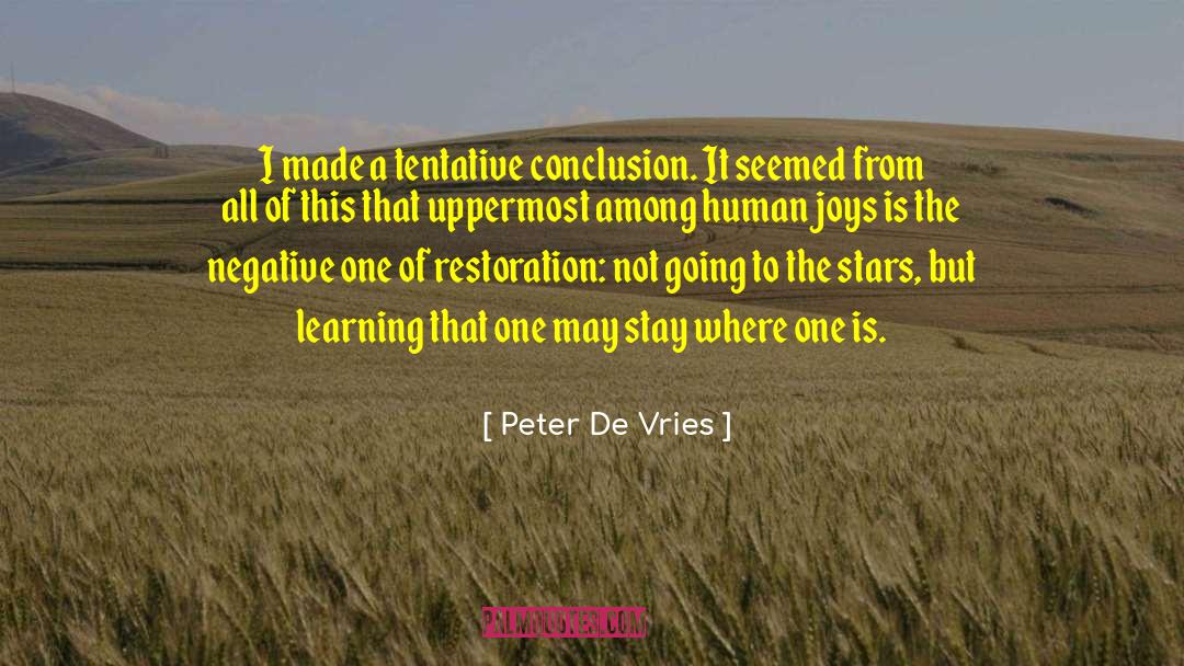 Fallen Stars quotes by Peter De Vries