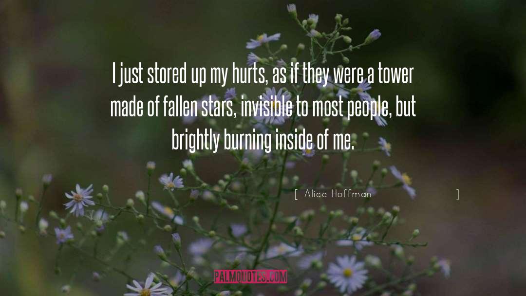 Fallen Stars quotes by Alice Hoffman