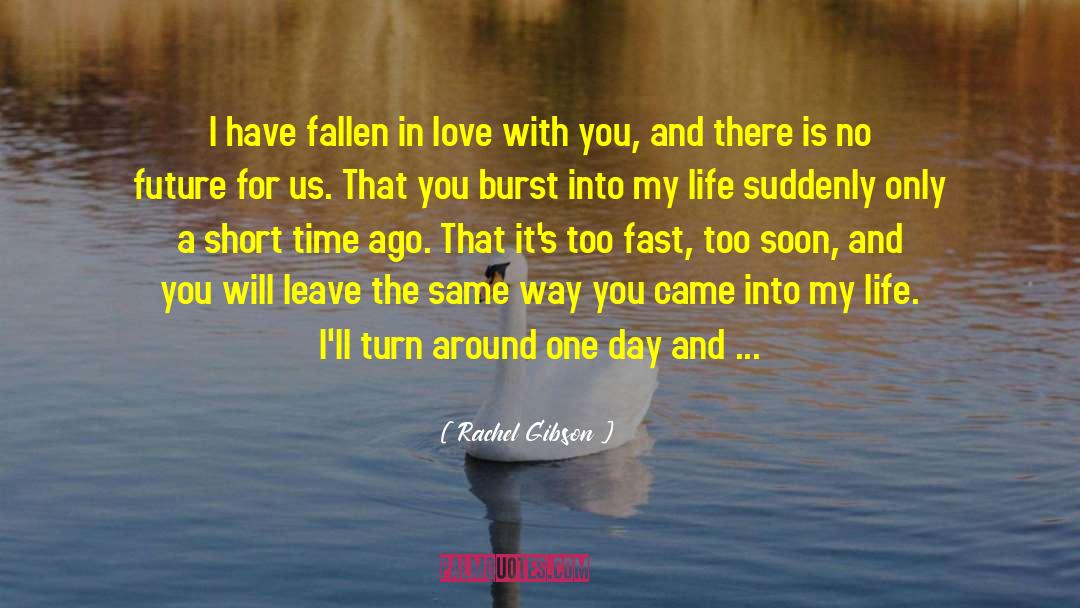Fallen Too Far quotes by Rachel Gibson