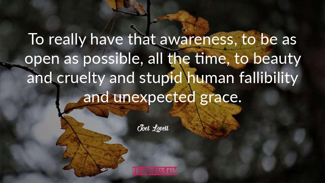 Fallibility quotes by Joel Lovell