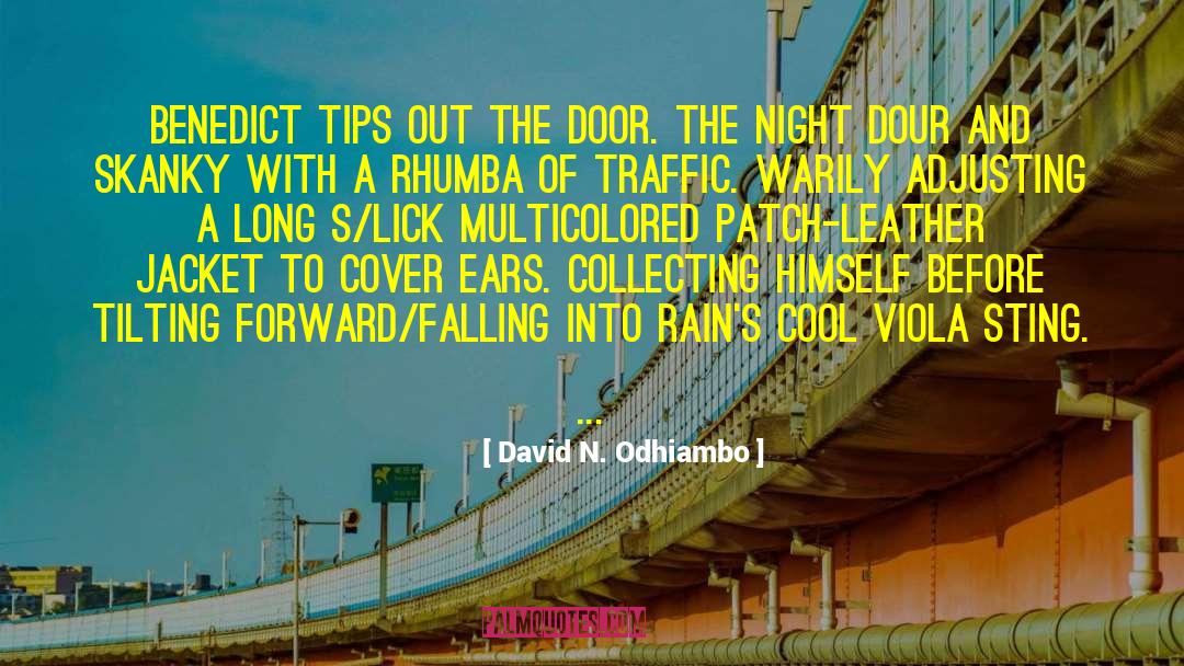 Falling And Flying quotes by David N. Odhiambo