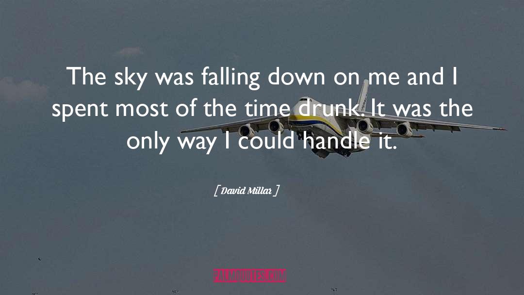 Falling And Flying quotes by David Millar