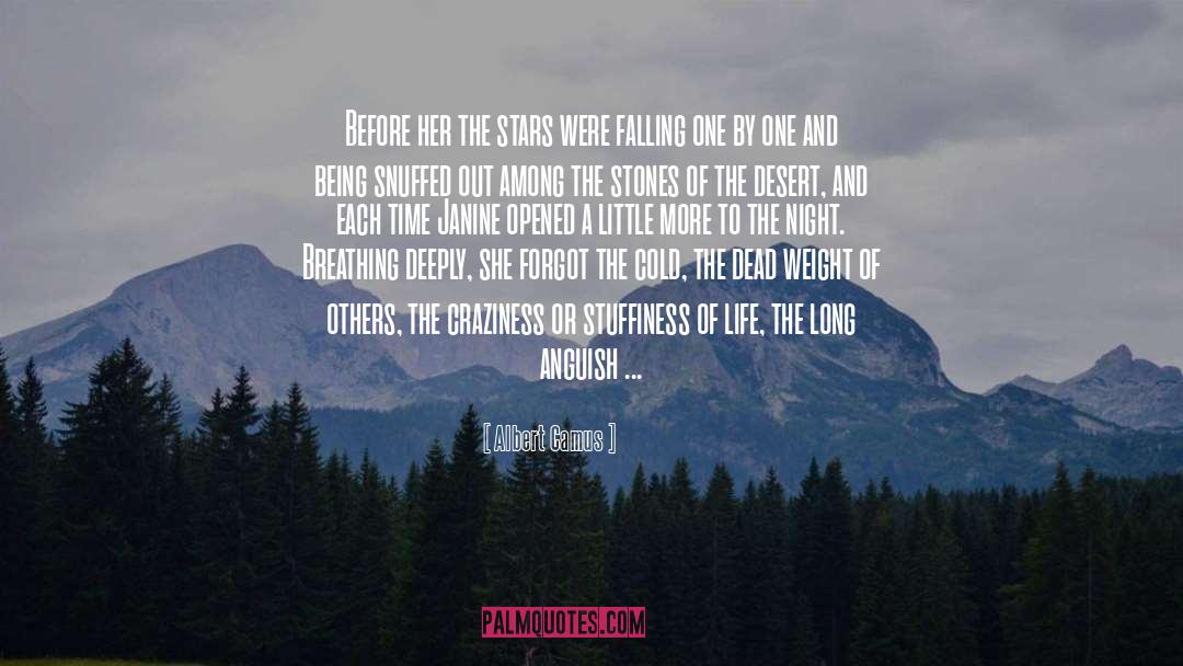 Falling And Flying quotes by Albert Camus