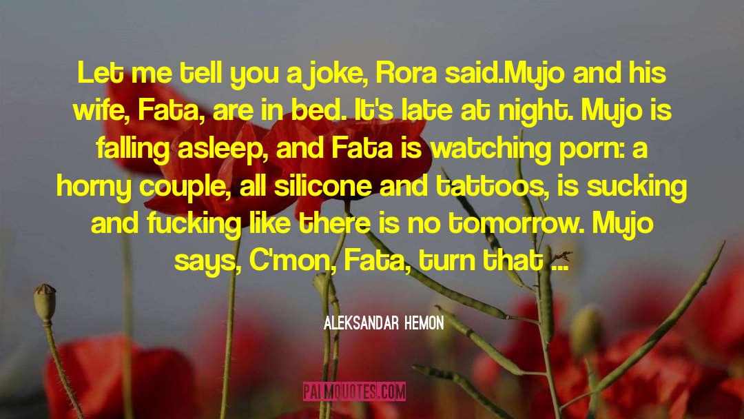 Falling Asleep quotes by Aleksandar Hemon