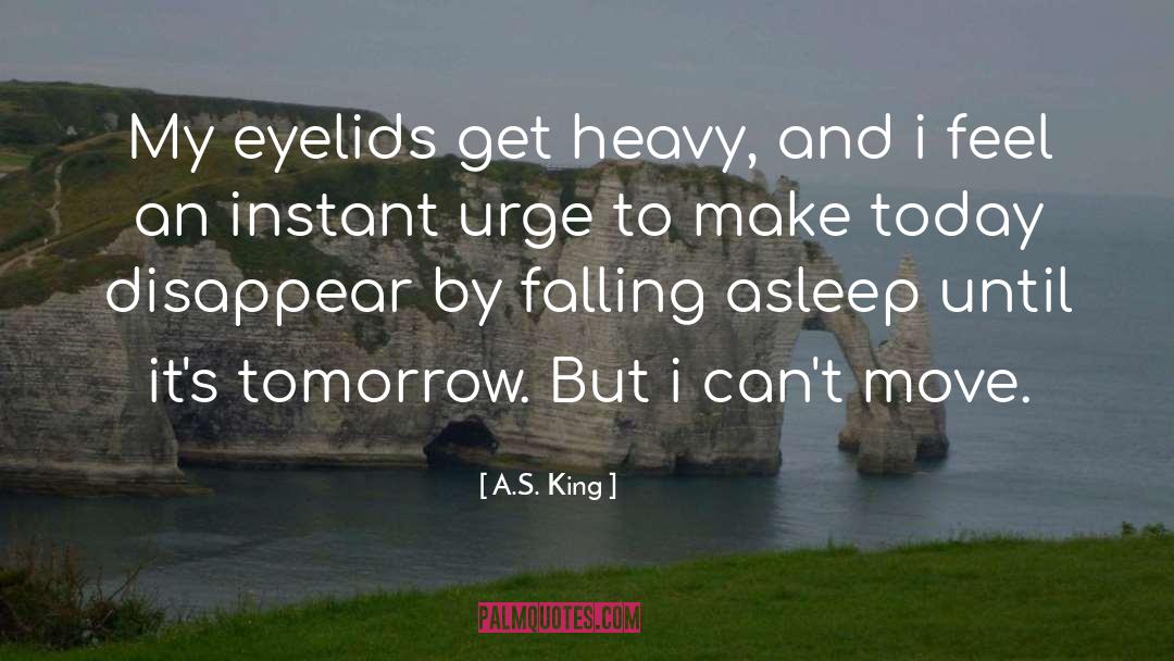 Falling Asleep quotes by A.S. King