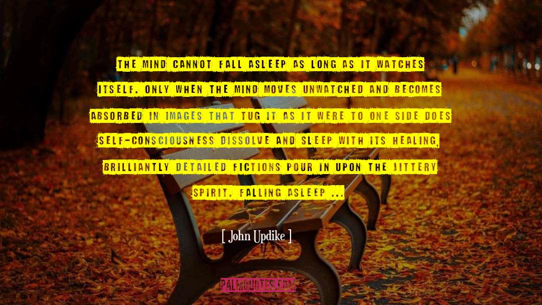 Falling Asleep quotes by John Updike