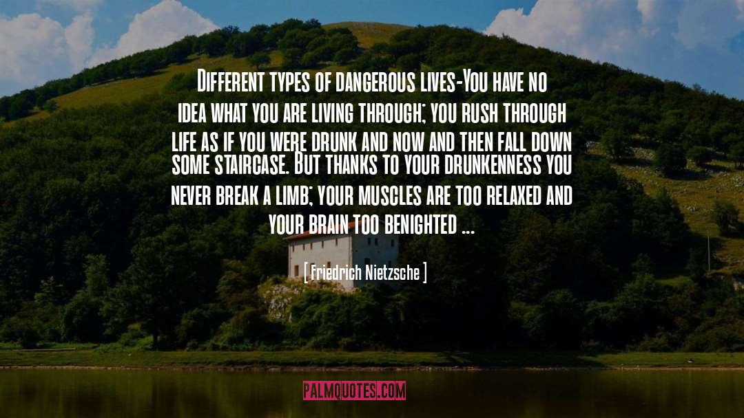 Falling Down quotes by Friedrich Nietzsche