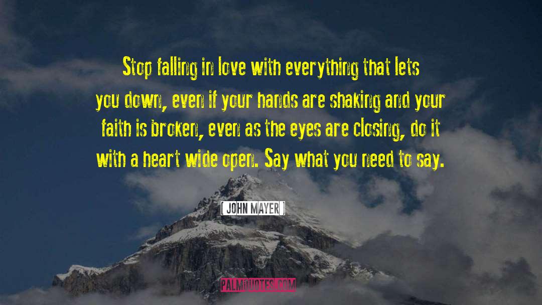 Falling In Love With A Beast quotes by John Mayer