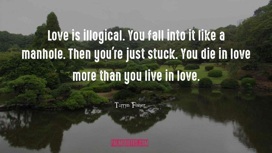 Falling In Love With Love quotes by Tarryn Fisher