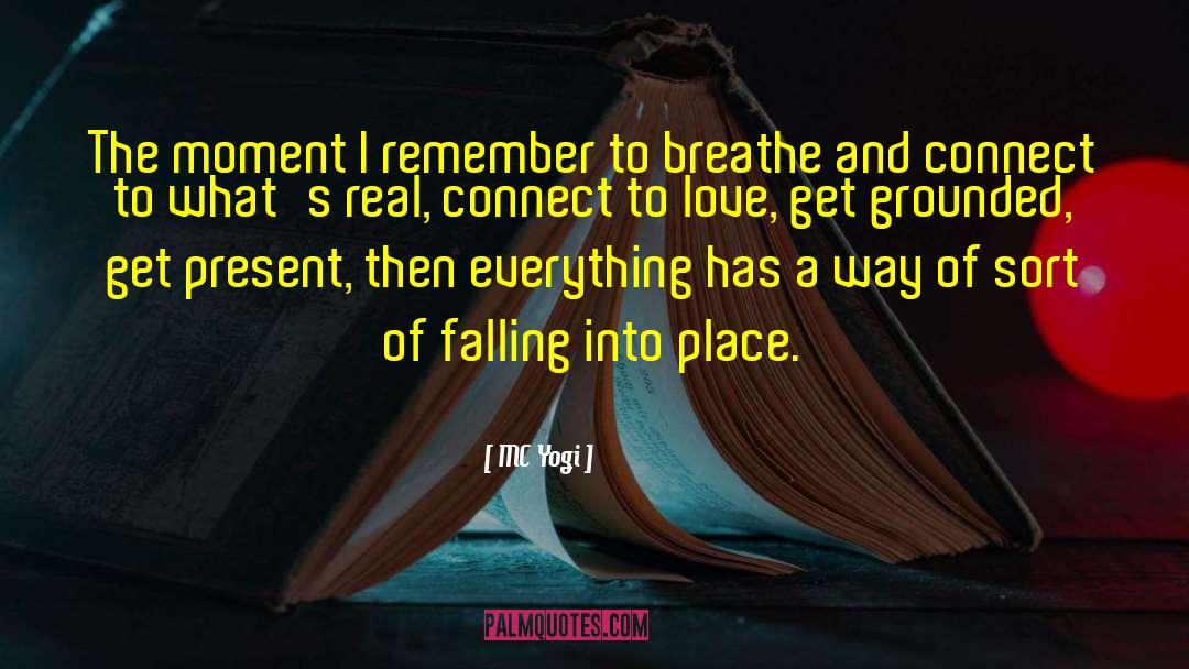 Falling Into Place quotes by MC Yogi