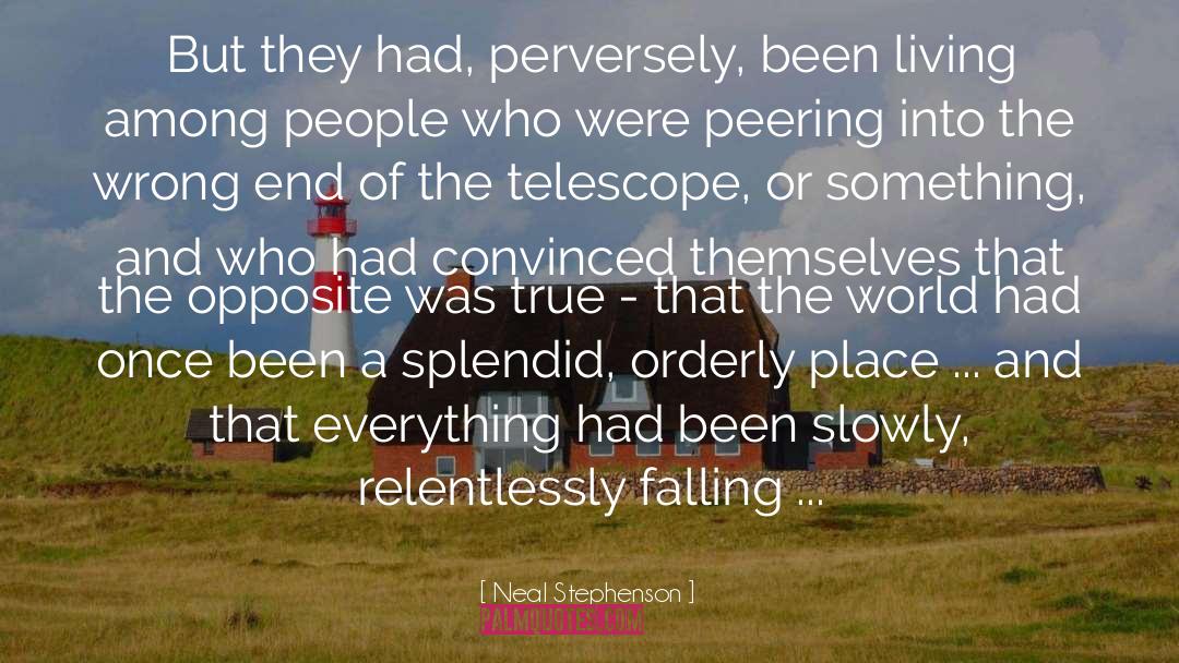 Falling Into You quotes by Neal Stephenson