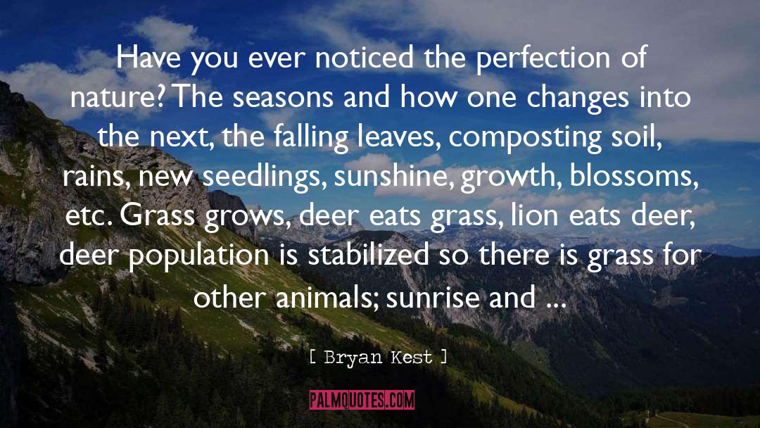 Falling Leaves quotes by Bryan Kest