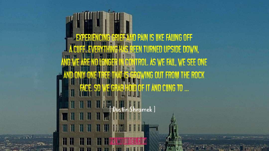 Falling Off A Pedestal quotes by Dustin Shramek