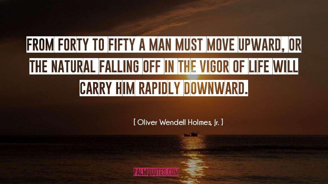 Falling Off quotes by Oliver Wendell Holmes, Jr.