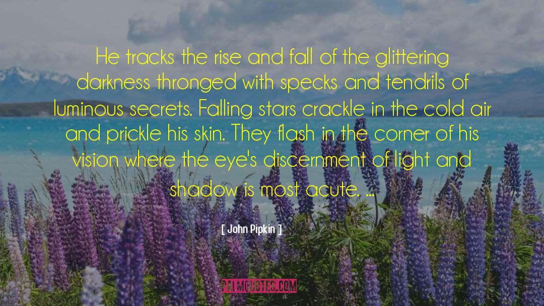 Falling Stars quotes by John Pipkin