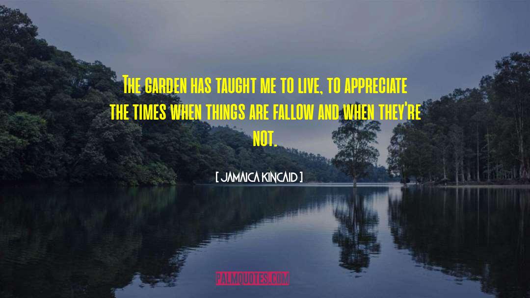 Fallow quotes by Jamaica Kincaid