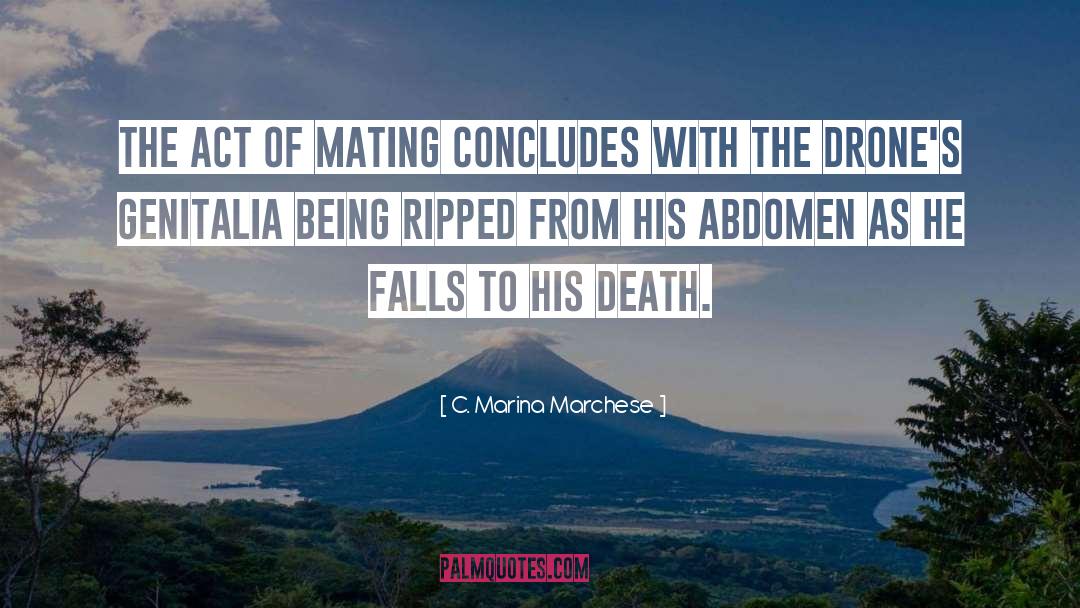 Falls quotes by C. Marina Marchese