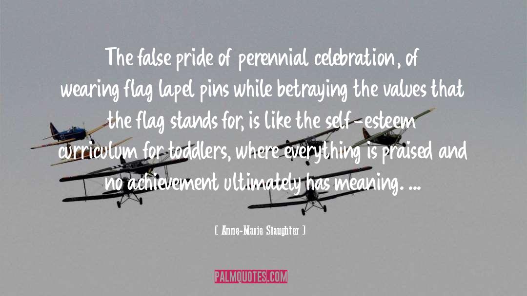 False Colours quotes by Anne-Marie Slaughter