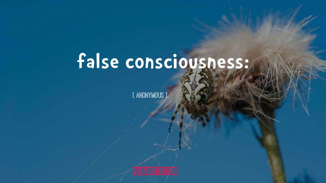 False Consciousness quotes by Anonymous