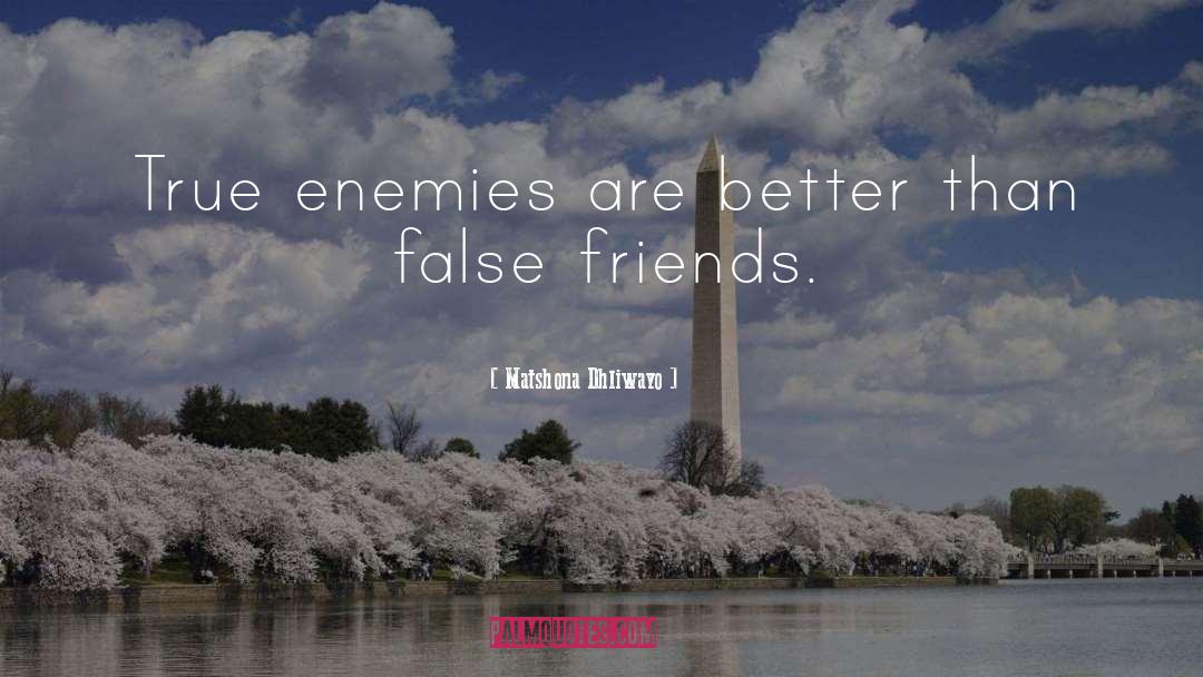 False Friends quotes by Matshona Dhliwayo
