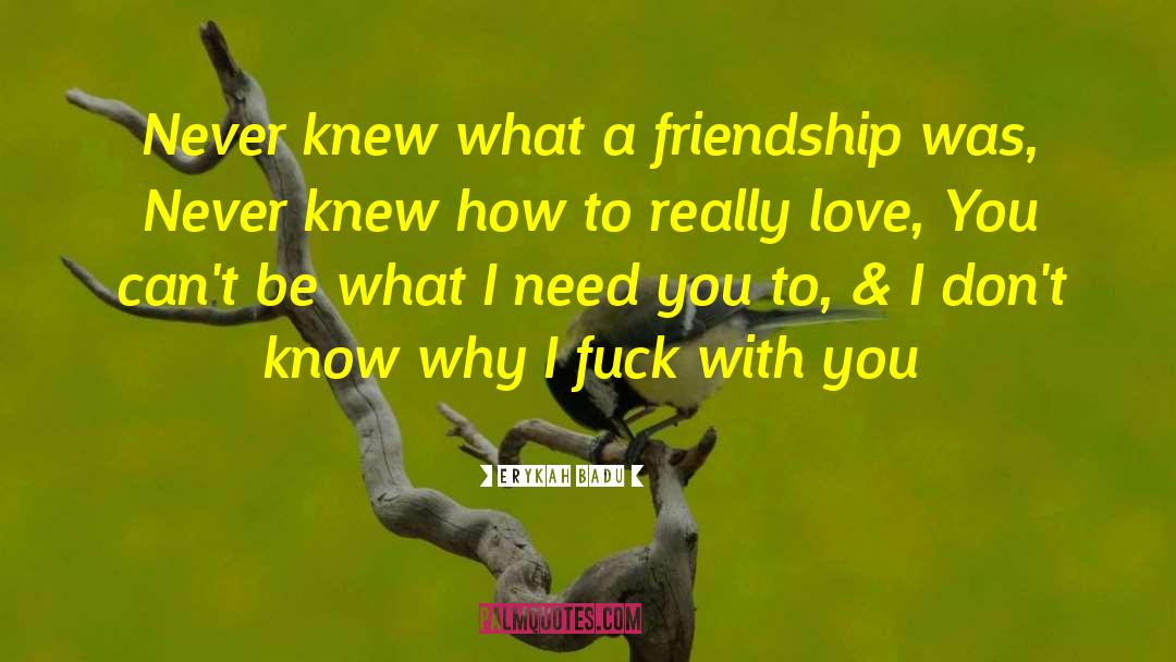 False Friendship quotes by Erykah Badu