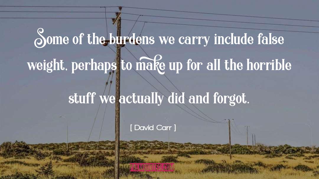 False Investigation quotes by David Carr