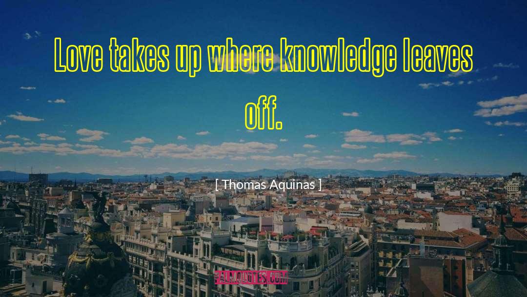 False Knowledge quotes by Thomas Aquinas