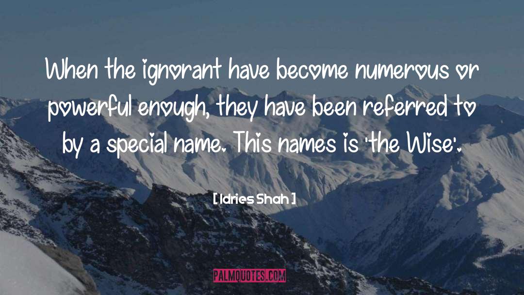 False Name Business quotes by Idries Shah