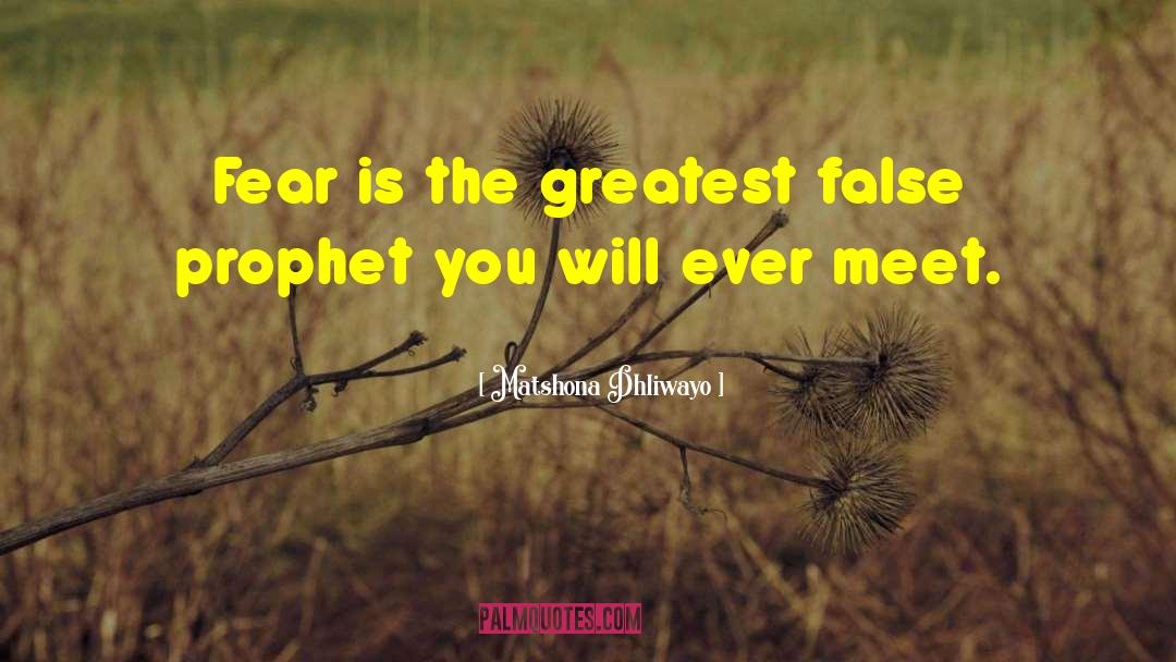 False Prophet quotes by Matshona Dhliwayo