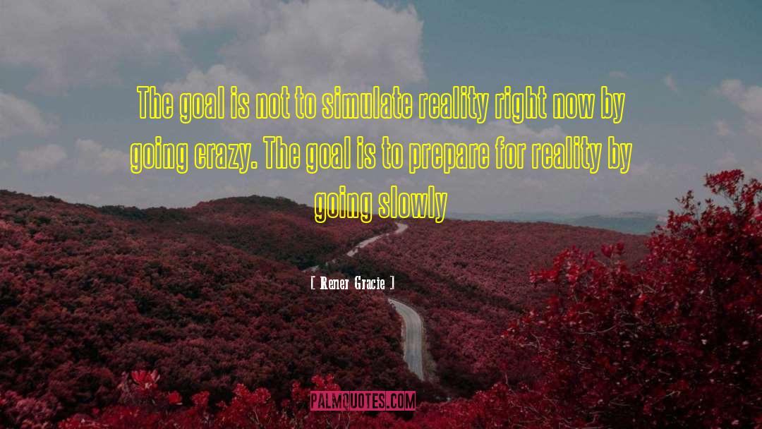 False Reality quotes by Rener Gracie