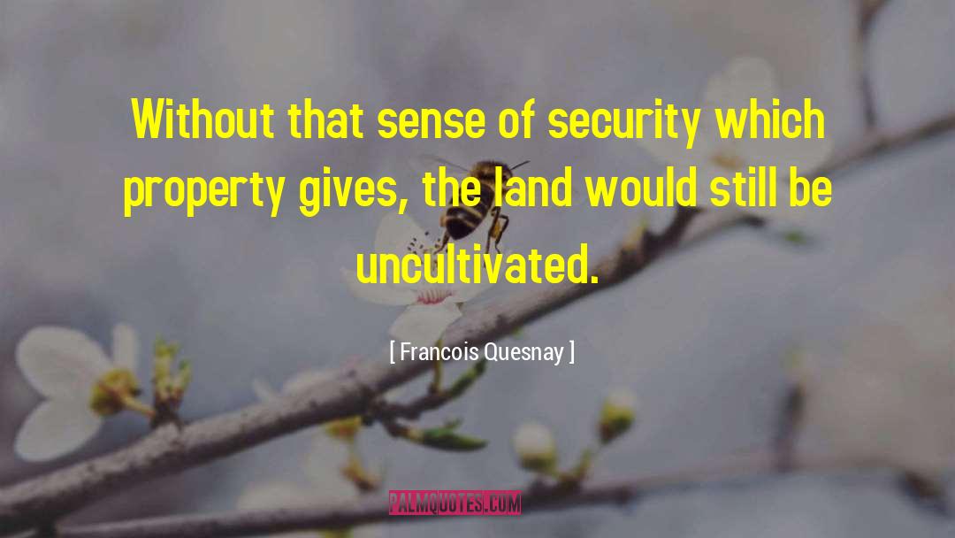 False Sense Of Security quotes by Francois Quesnay