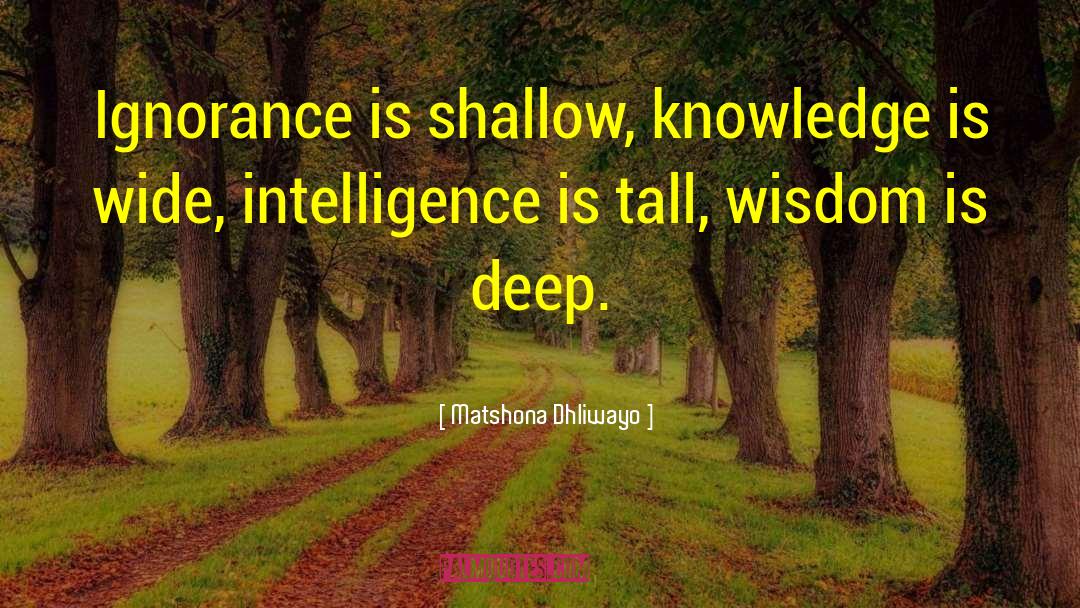 False Wisdom quotes by Matshona Dhliwayo