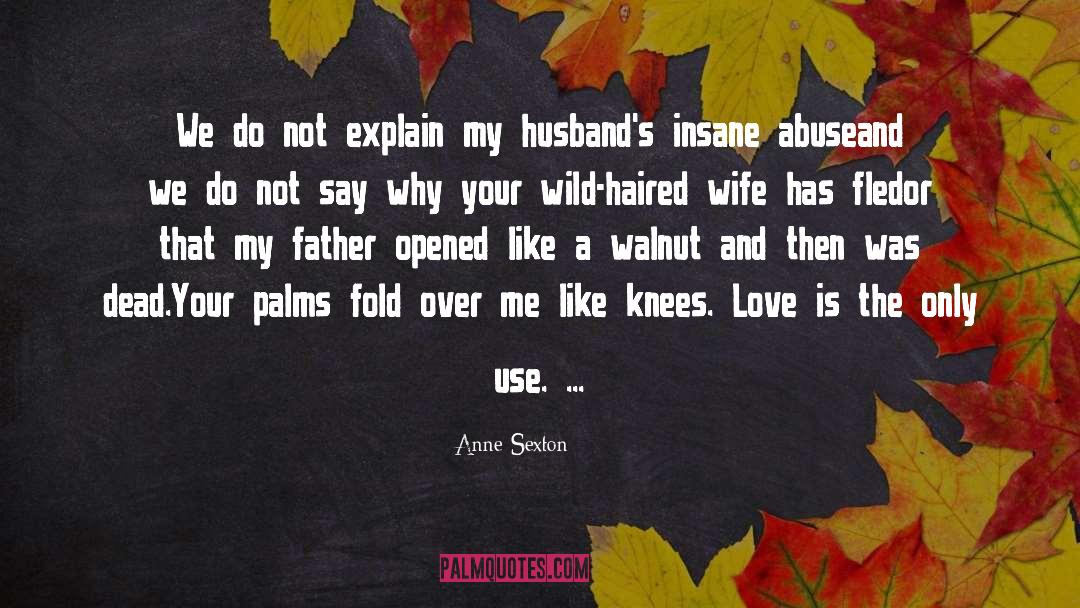 Family Abuse Incest quotes by Anne Sexton