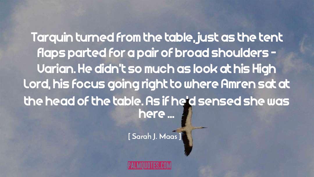 Family Dinner Table quotes by Sarah J. Maas