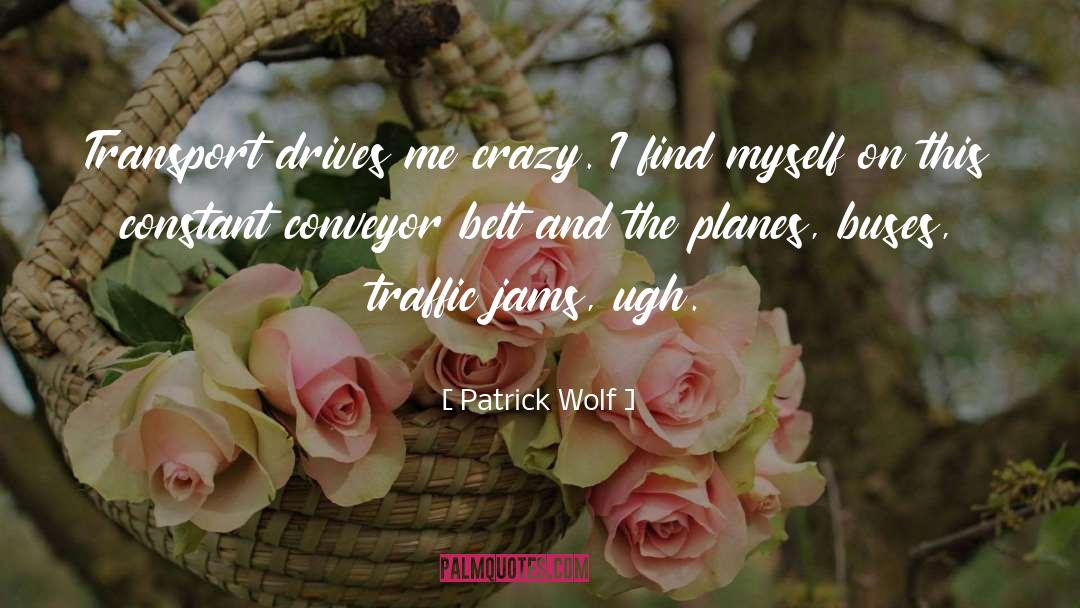 Family Drives Me Crazy quotes by Patrick Wolf
