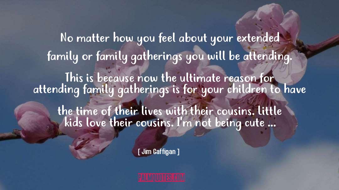 Family Gatherings quotes by Jim Gaffigan