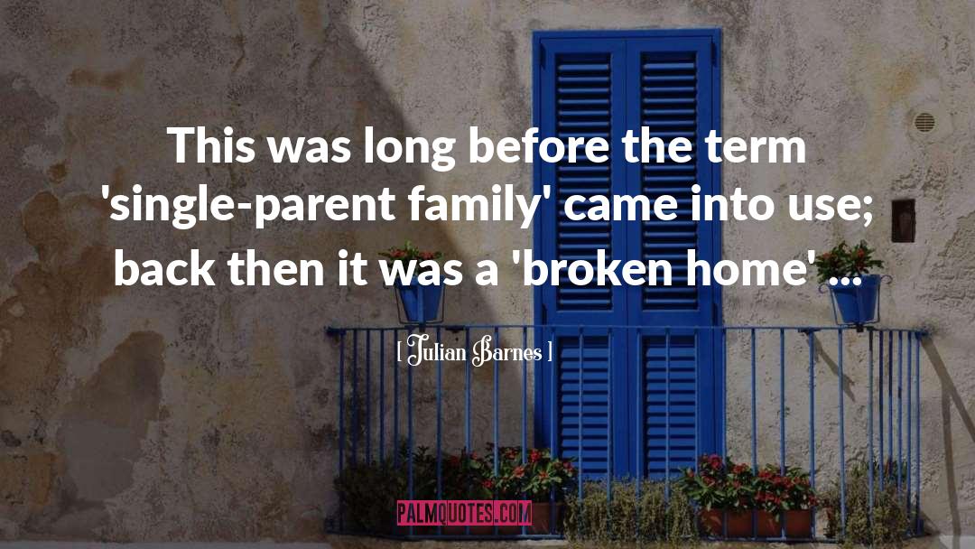 Family History quotes by Julian Barnes