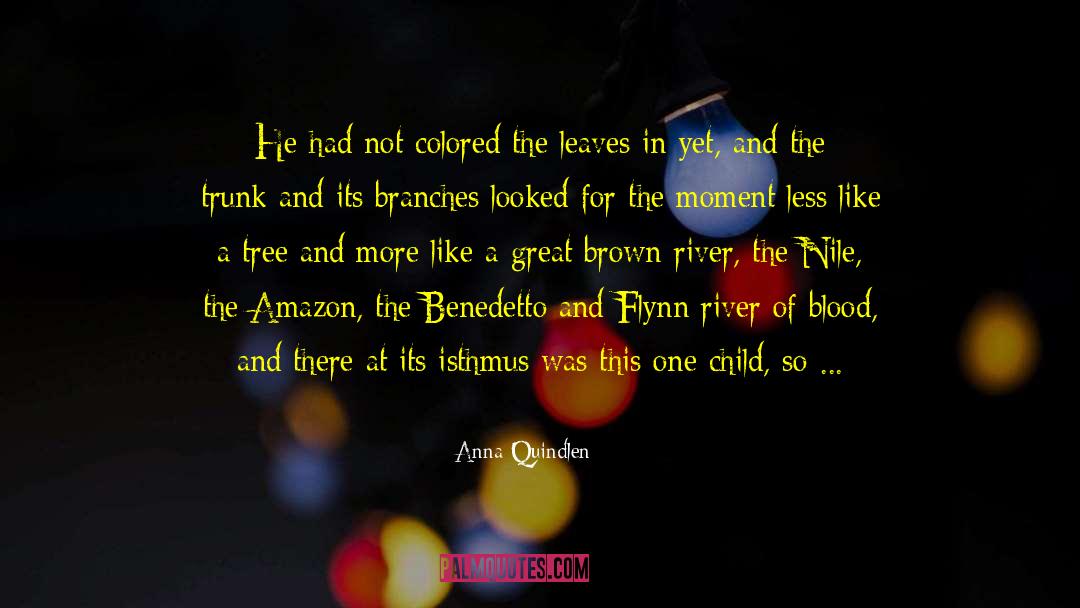 Family Like The Branches Of A Tree quotes by Anna Quindlen