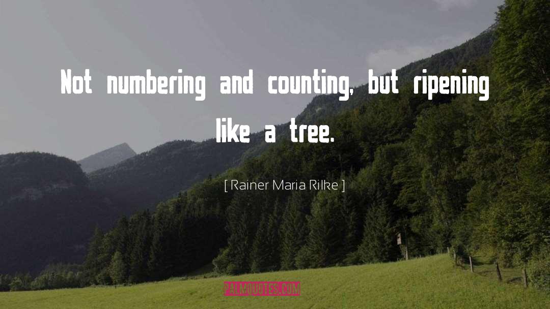 Family Like Tree quotes by Rainer Maria Rilke