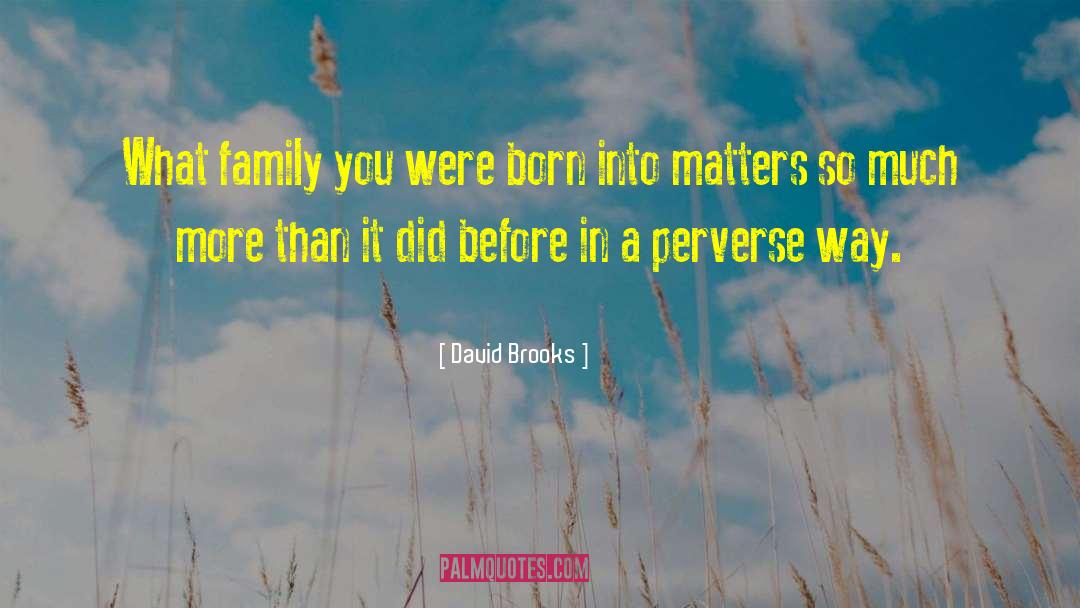 Family Matters quotes by David Brooks