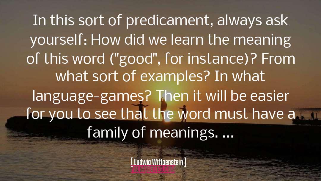Family Meaning quotes by Ludwig Wittgenstein