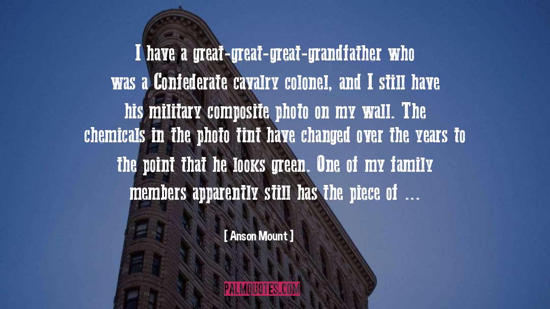 Family Members quotes by Anson Mount